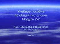 Эпителии почечного, целомического и нейроглиального типов 