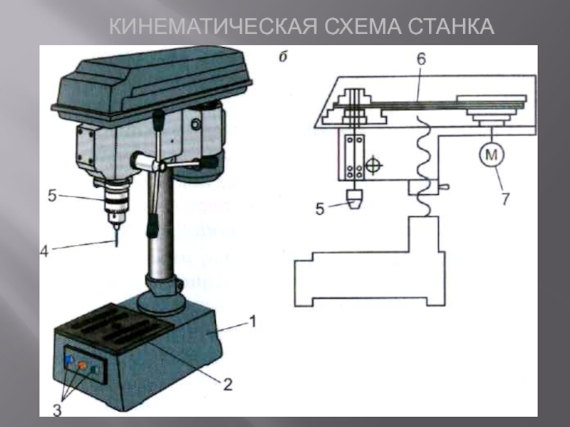 Устройство сверлильного станка рисунок