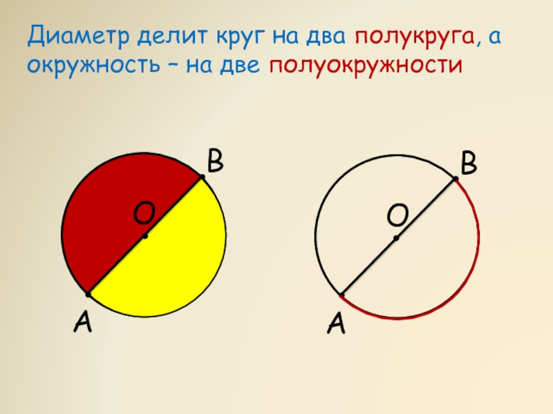 Диаметр пополам