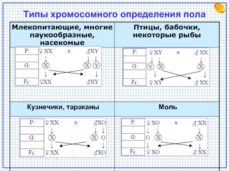 Хромосомное определение пола. Механизмы определения пола у организмов. Типы хромосомного определения пола схема. Типы хромосомного определения пола у различных организмов. Хромосомный механизм определения пола у разных организмов.