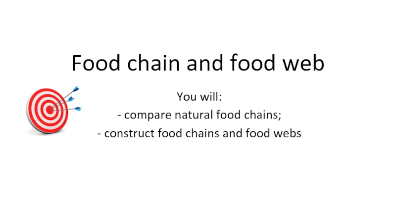 Food chain and food web