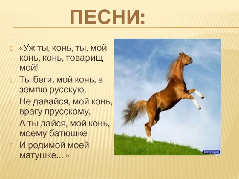 Русские народные песни кони. Текст про лошадей. Текст песни конь. Текст песни лошадь. Песенка про лошадь текст.