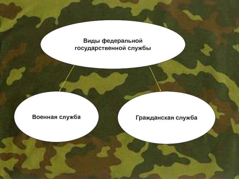 Военная служба особый вид федеральной государственной службы презентация