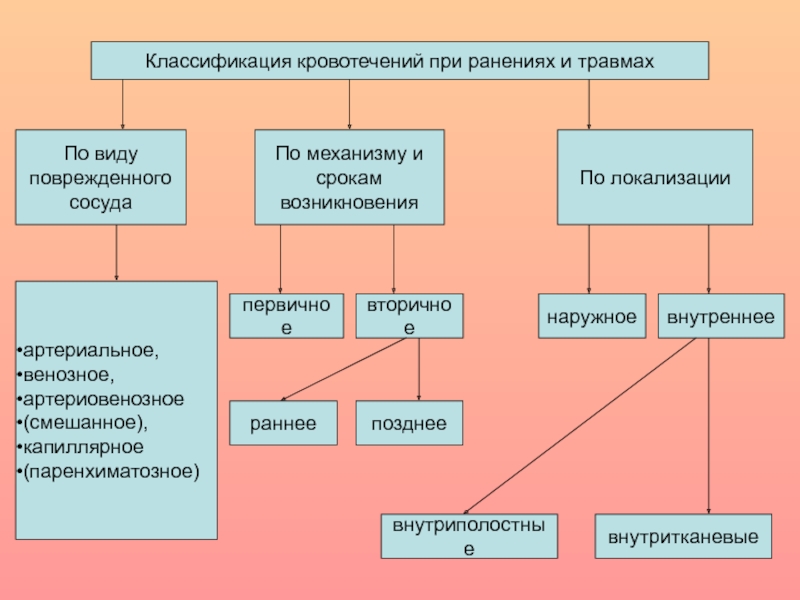 Виды кровотечения схема