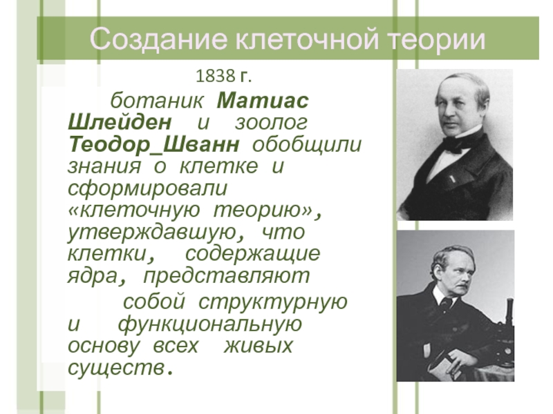 История клеточной теории. Шлейден 1838. 1838 Шлейден и Шванн. Теодор Шванн и Матиас Шлейден клеточная теория. Шлейден и Шванн теория.