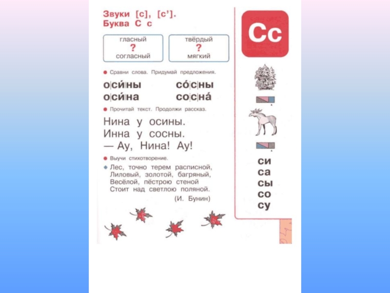 Сосна схема слова 1. Осина звуковая схема.