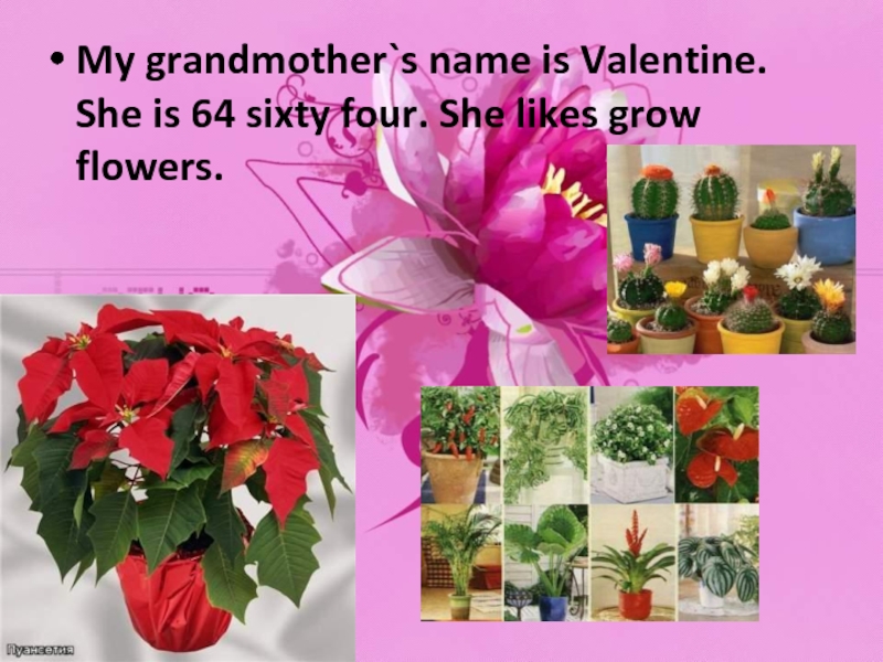 Likes grow. My grandma's name is Mary. My grandma …. (Grow) Flowers when she was young. *.