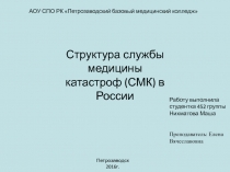 АОУ СПО РК Петрозаводский базовый медицинский колледж
Работу выполнила