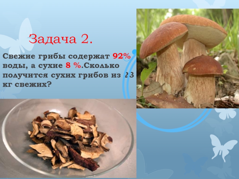 Свежесобранные грибы содержат 95 воды а сухое