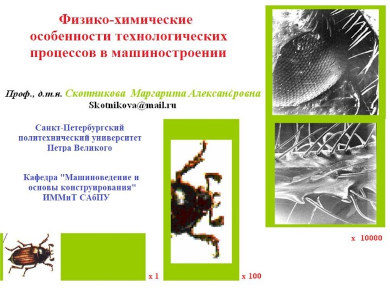 Презентация Презентация-ФХОТПвМ (Работа над Ошибками)-18