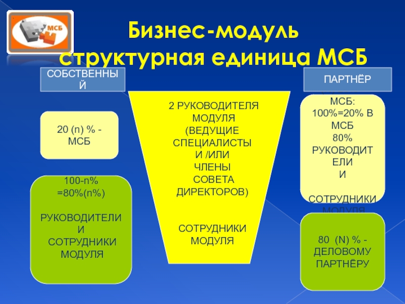 Модуль руководителя. Структурные единицы модуля. Бизнес модуль. Порядок расположения структурных единиц в модуле. Функции директора МСБ.