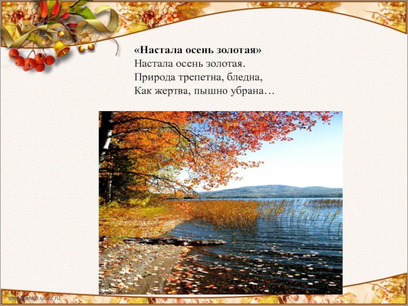 Осень настала. Настала осень Золотая Пушкин. Настала осень Золотая. Природа трепетна, бледна,. Стих Пушкина настала осень Золотая. Золотая осень бледно.