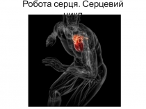 Робота серця. Серцевий цикл