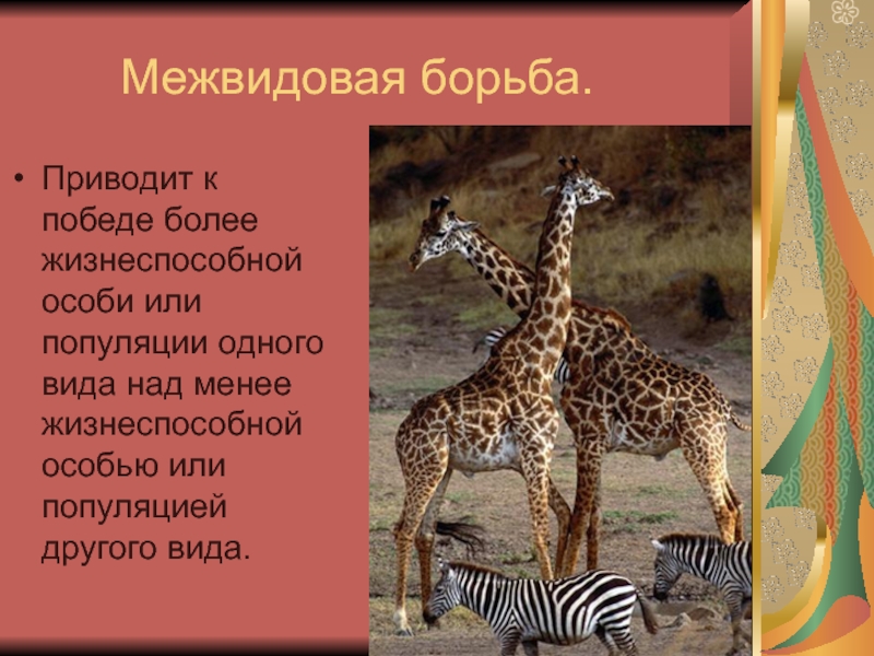 Межвидовая борьба. Межвидовая борьба это в биологии. Причины межвидовой борьбы. Межвидовая борьба кратко и понятно. Межвидовая борьба одуванчик.