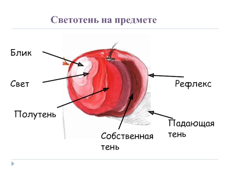 Полутень это в рисунке