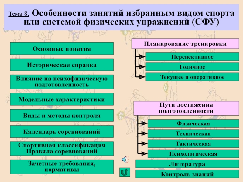 Особенности занятий избранным видом спорта или системой физических упражнений презентация