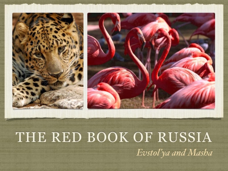Презентация The Red Book of Russia