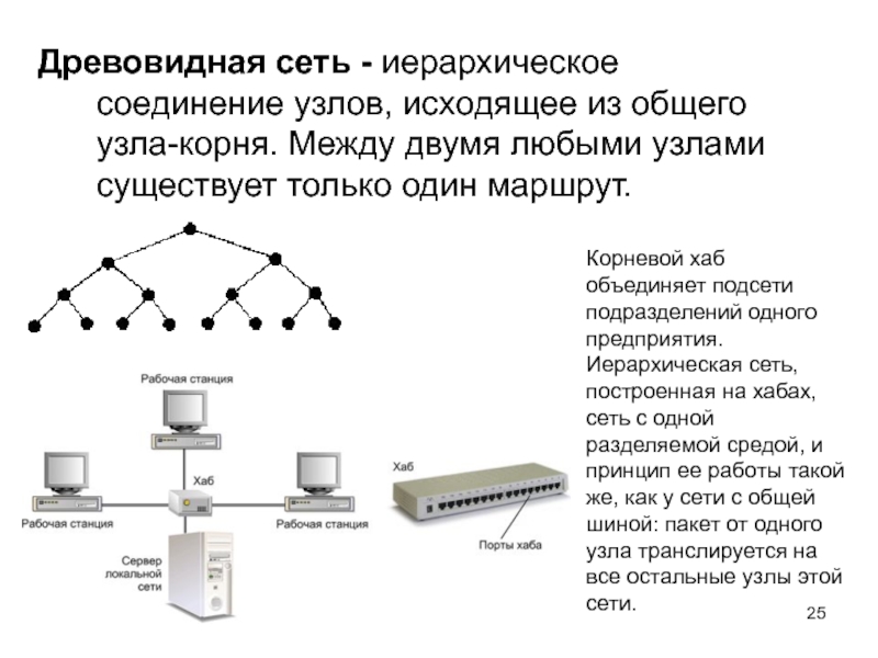 Виды соединений компьютерных сетей. Локальная сеть схема соединения. Соединение  сети древовидная иерархическая. Схема локальной вычислительной сети. Локальная вычислительная сеть локальные вычислительные сети.