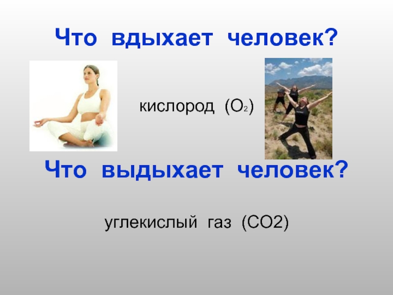 Что вдыхает человек?кислород (О2)Что выдыхает человек?углекислый газ (СО2)