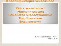 Классификация животного К ласс животного : Млекопитающие Семейство :