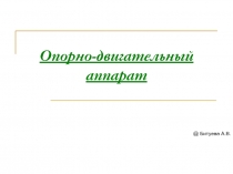 Опорно-двигательный аппарат