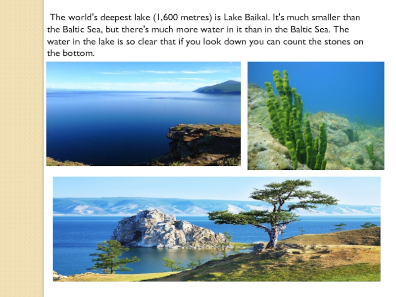 Much smaller. The World's … Lake (1,600 Metres) is Lake Baikal.. Have you ever been to Lake Baikal it is the Deep Lake in the World ВПР. Have you ever been to Lake Baikal it is the Deep. Have you ever been to Lake Baikal it is the Deepest Lake in the World ВПР ответы.