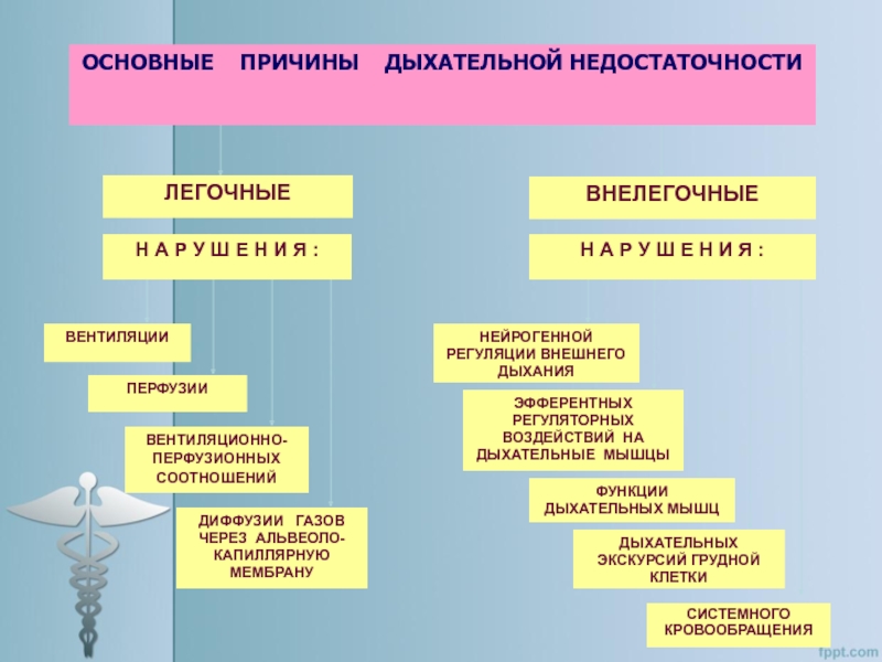 Патофизиология дыхательной системы презентация