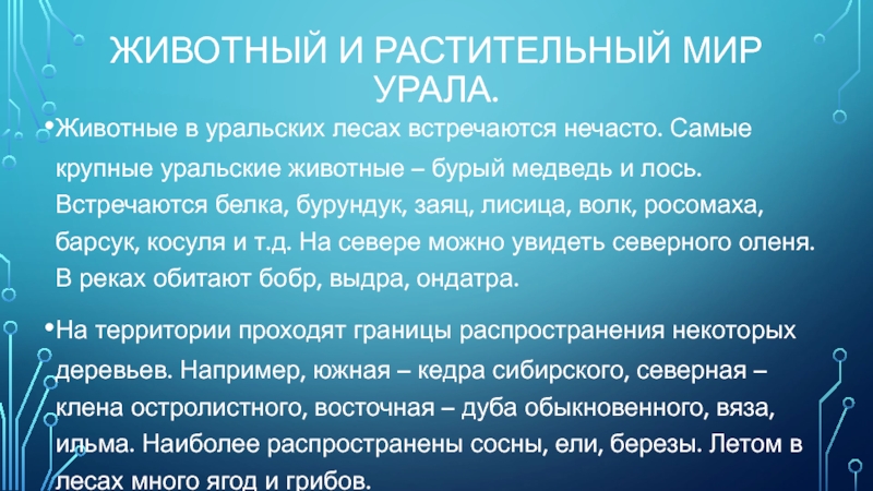 Животный и растительный мир Урала.Животные в уральских лесах встречаются нечасто. Самые крупные уральские животные – бурый медведь