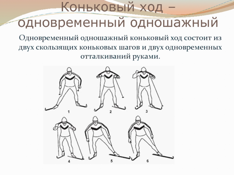 Параллельным шагом. Одновременный одношажный коньковый ход фазы. 4.Одновременный одношажный коньковый ход.. Одновременный одношажный коньковый ход на лыжах. Одновременный одношажный коньковый ход ошибки.