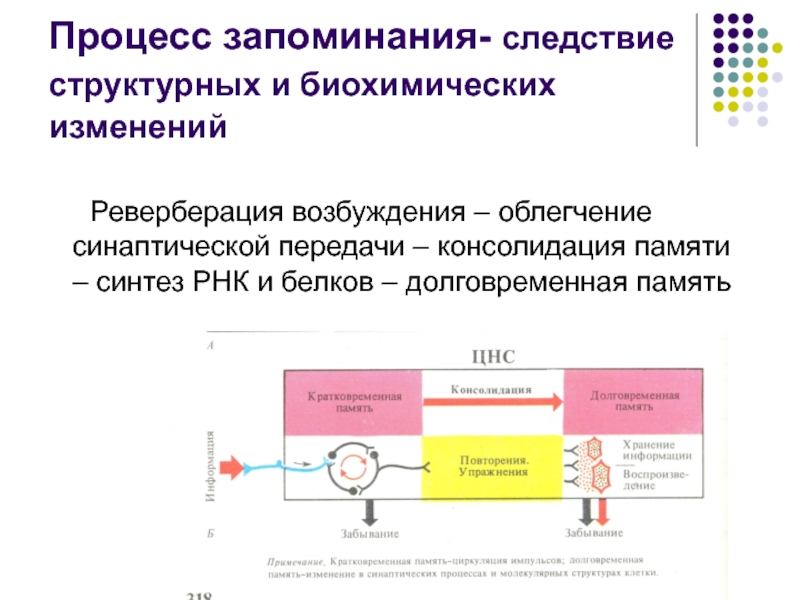 Процесс запоминания