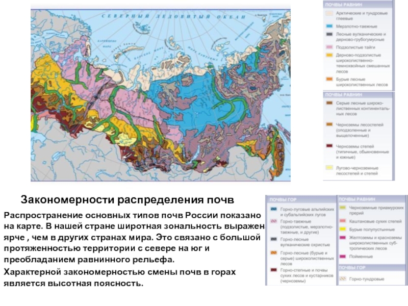 Закономерности распределения почвРаспространение основных типов почв России показано на карте. В нашей стране широтная зональность выражена ярче