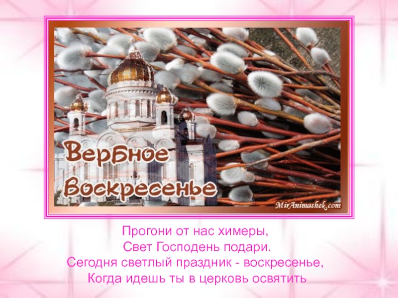 В вербное воскресенье можно пить вино. Вербное воскресенье презентация. Вербное воскресенье для детей презентация. Проект Вербное воскресенье. Сообщение о Вербном воскресенье.