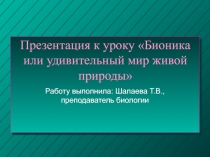 Бионика или удивительный мир живой природы