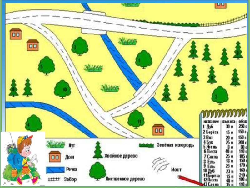 Местность это 3 класс. План местности колобка. План местности 3 поросенка. План местности 3 класс окружающий мир рисунок. Найди отличия план местности.