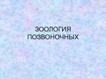 Хордовые