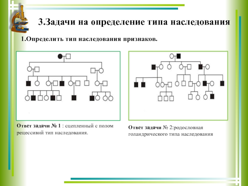 Презентация решение задач на сцепленное с полом наследование 10 класс