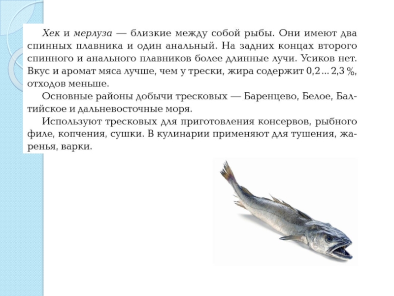 Рыба хек сколько. Промысловые рыбы. Хек описание. Хек строение рыбы. Основные семейства промысловых рыб.