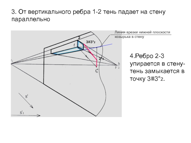 Тень на стене текст