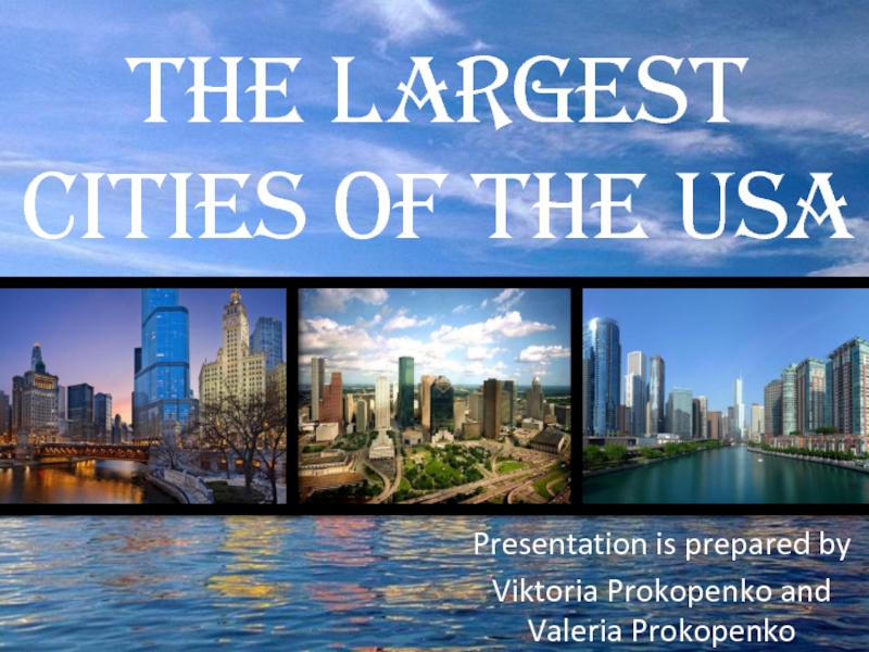 THE LARGEST CITIES OF THE USA