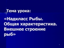 Надкласс Рыбы. Общая характеристика. Внешнее строение