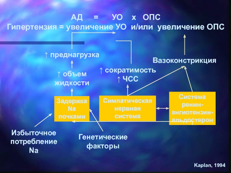 Презентация АГ-студ.ppt