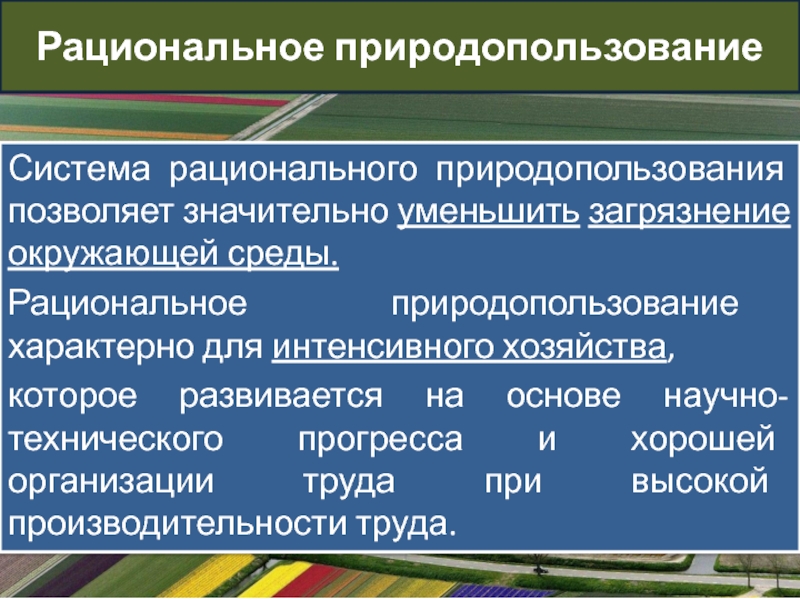 Рациональное природопользование проект