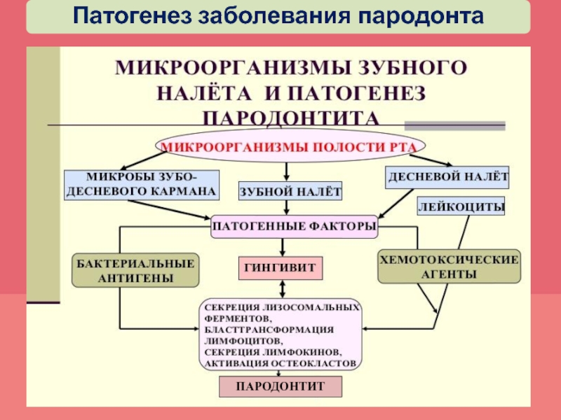 Рожа заболевание патогенез картинки