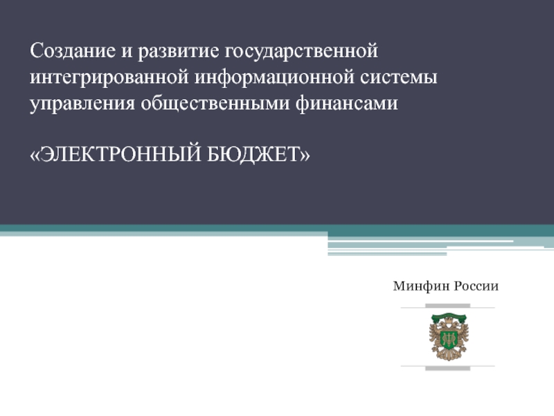 Создание и развитие государственной интегрированной информационной системы