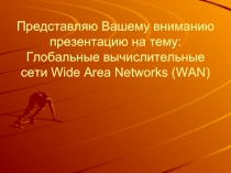 Глобальные вычислительные сети Wide Area Networks (WAN)