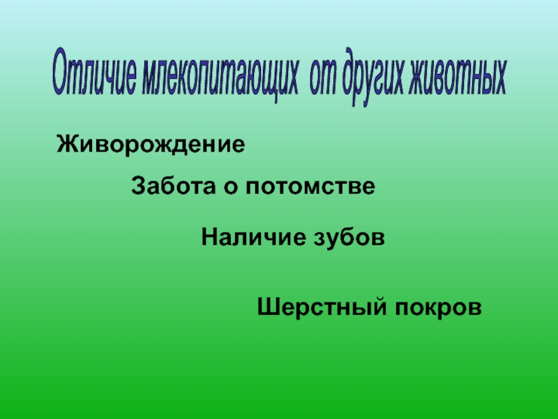 Млекопитающие отличия. Млекопитающие отличаются. Отличие от млекопитающих. Млекопитающее отличается от других животных. Чем млекопитающие отличаются от других животных.