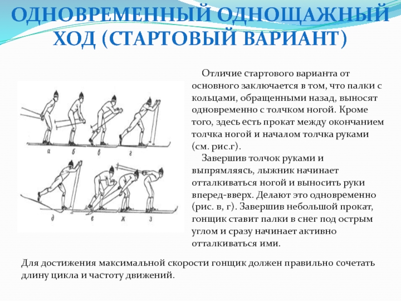 Начальный вариант. Стартовый ход. Длина лыжного шага. Стартовый и дистанционный вариант на лыжах. Стартовый вариант на лыжах реферат.