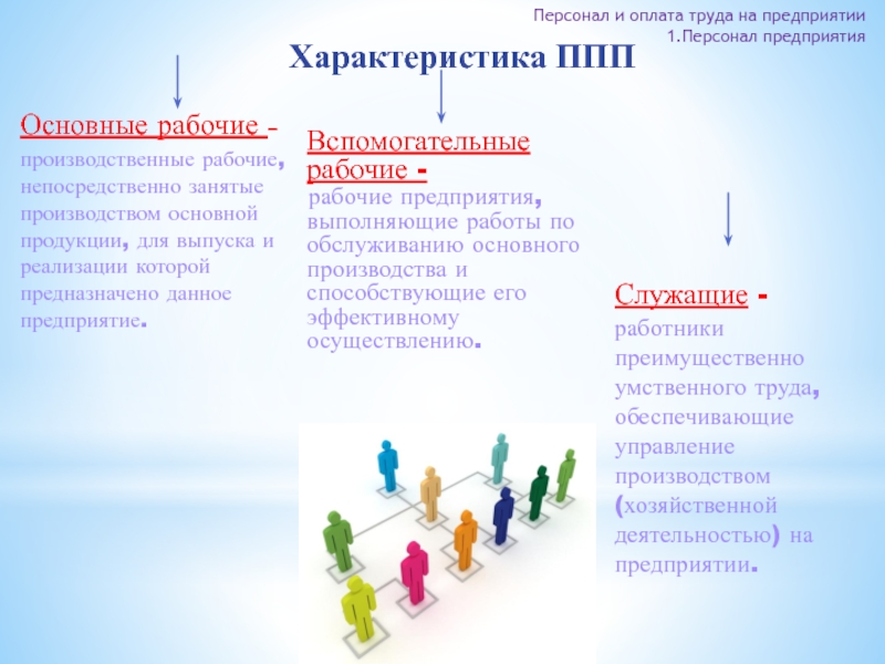 Непосредственно занятые. Оплата труда персонала предприятия. Персонал и его характеристики. Производственная (рабочая, целевая) группа. 1с персонал.