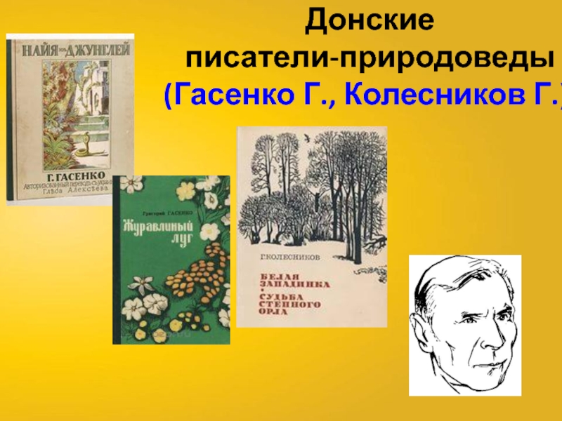 Донские писатели. Писатели природоведы для детей. Гасенко Донской писатель. Григорий Степанович Гасенко.