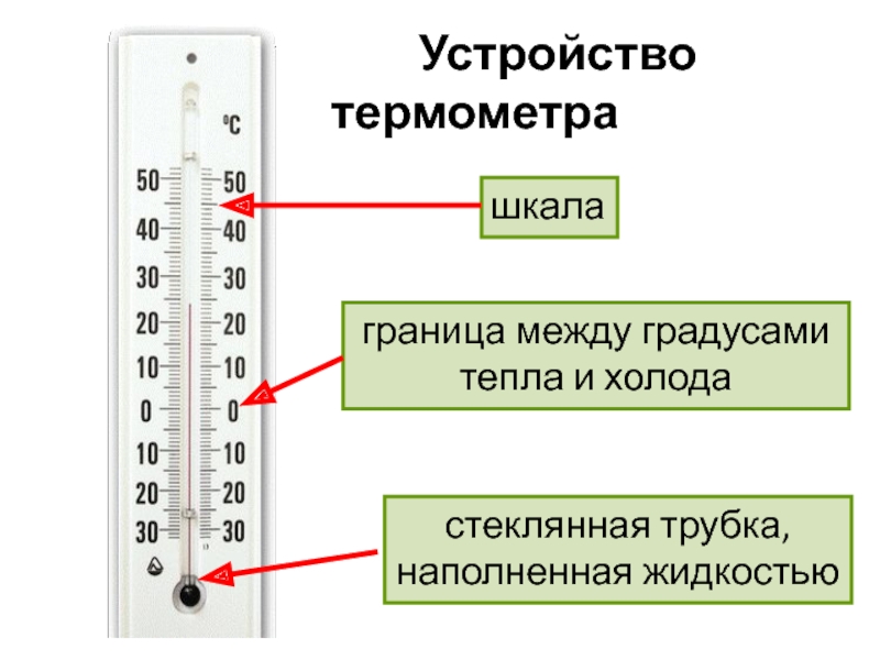 Термометр измеряет. Устройство термометра. Шкала термометра. Устройство термометра 2 класс окружающий мир. Шкала градусника.